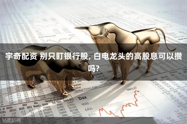 宇奇配资 别只盯银行股, 白电龙头的高股息可以攒吗?