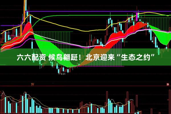 六六配资 候鸟翩跹！北京迎来“生态之约”