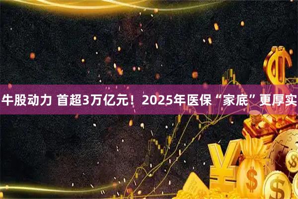 牛股动力 首超3万亿元！2025年医保“家底”更厚实