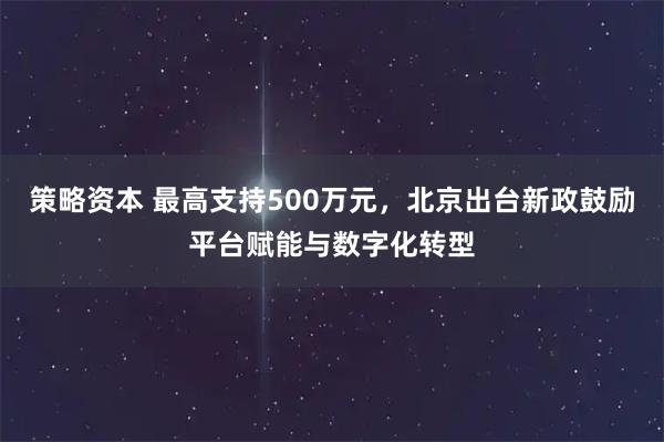 策略资本 最高支持500万元，北京出台新政鼓励平台赋能与数字化转型
