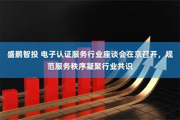 盛鹏智投 电子认证服务行业座谈会在京召开，规范服务秩序凝聚行业共识