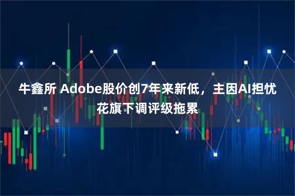 牛鑫所 Adobe股价创7年来新低，主因AI担忧花旗下调评级拖累