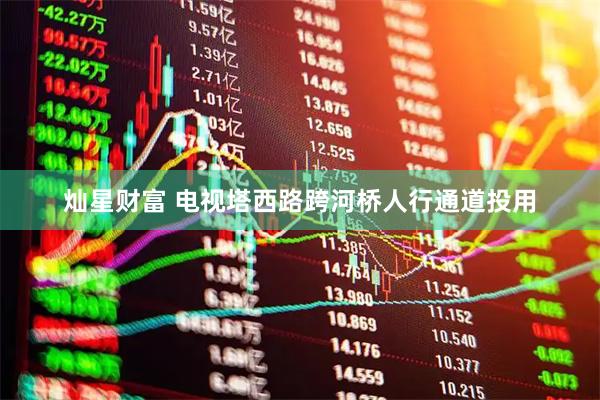 灿星财富 电视塔西路跨河桥人行通道投用