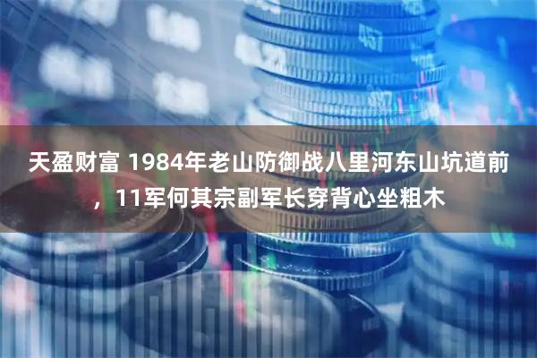 天盈财富 1984年老山防御战八里河东山坑道前，11军何其宗副军长穿背心坐粗木