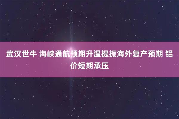 武汉世牛 海峡通航预期升温提振海外复产预期 铝价短期承压