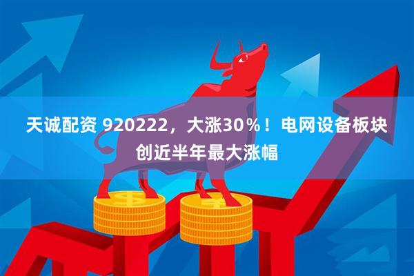 天诚配资 920222，大涨30％！电网设备板块创近半年最大涨幅