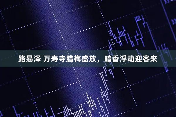 路易泽 万寿寺腊梅盛放，暗香浮动迎客来