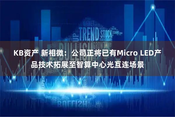 KB资产 新相微：公司正将已有Micro LED产品技术拓展至智算中心光互连场景