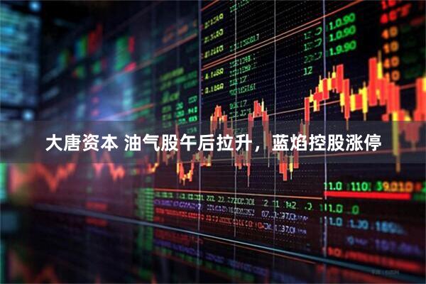 大唐资本 油气股午后拉升，蓝焰控股涨停