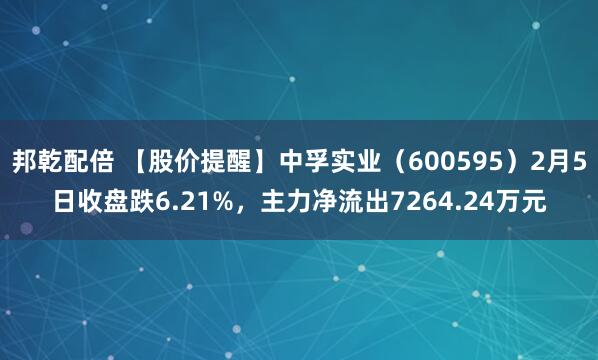 邦乾配倍 【股价提醒】中孚实业（600595）2月5日收盘跌6.21%，主力净流出7264.24万元