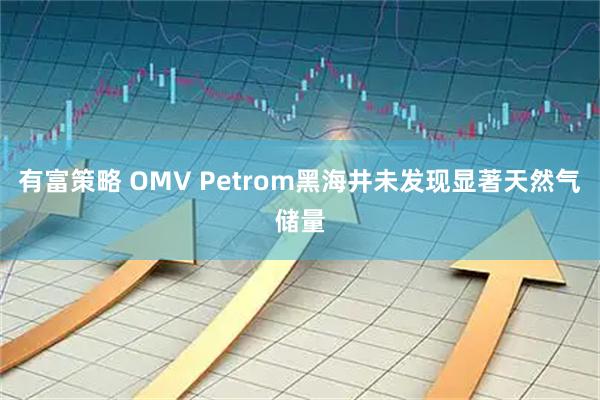 有富策略 OMV Petrom黑海井未发现显著天然气储量