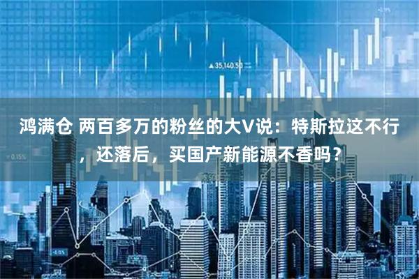 鸿满仓 两百多万的粉丝的大V说：特斯拉这不行，还落后，买国产新能源不香吗？