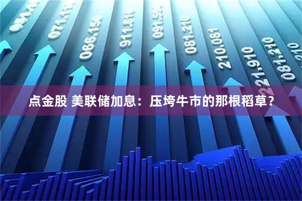 点金股 美联储加息：压垮牛市的那根稻草？