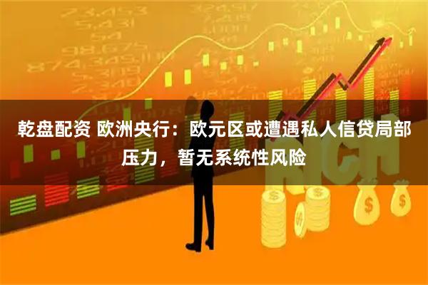 乾盘配资 欧洲央行:欧元区或遭遇私人信贷局部压力,暂无系统性风险