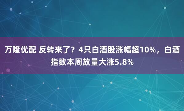 万隆优配 反转来了？4只白酒股涨幅超10%，白酒指数本周放量大涨5.8%