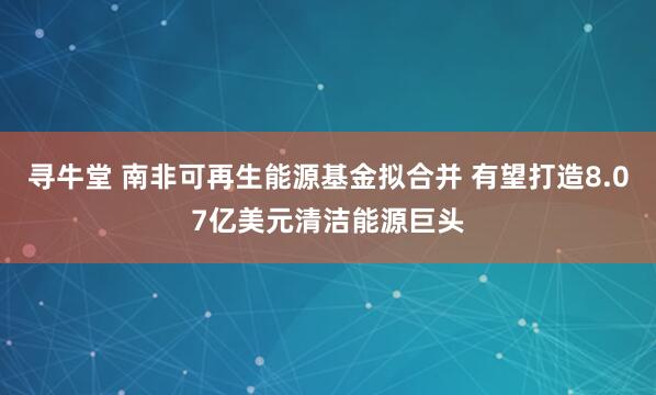 寻牛堂 南非可再生能源基金拟合并 有望打造8.07亿美元清洁能源巨头