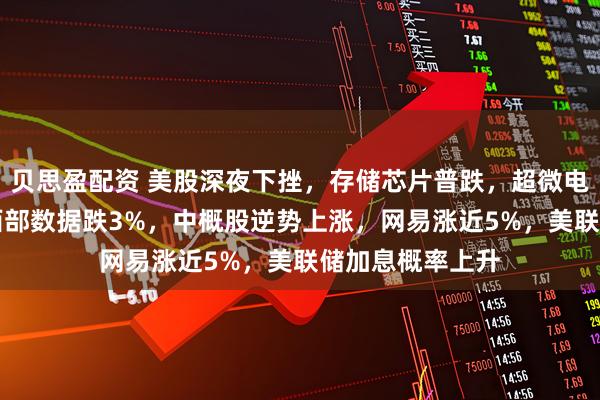 贝思盈配资 美股深夜下挫，存储芯片普跌，超微电脑大跌13%，西部数据跌3%，中概股逆势上涨，网易涨近5%，美联储加息概率上升