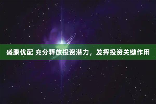 盛鹏优配 充分释放投资潜力，发挥投资关键作用